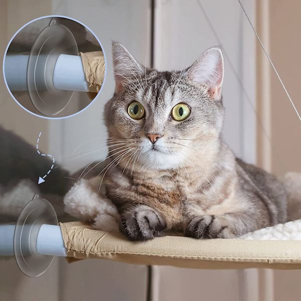 Glasfönster kattkoja hängmatta sugkopp 2 modeller, 8 set