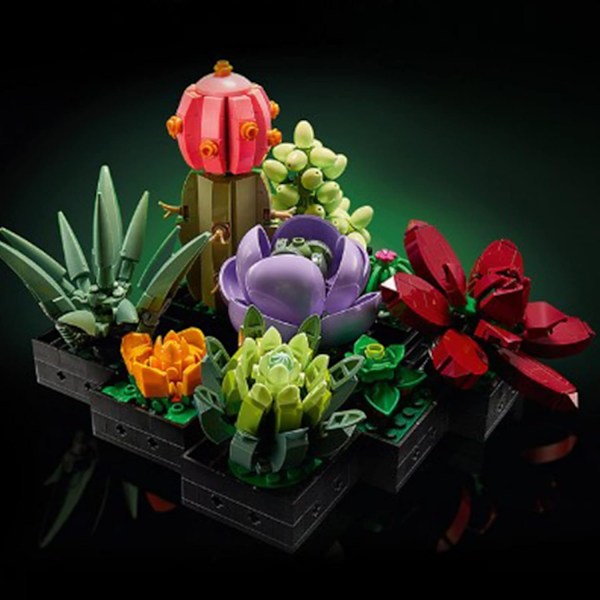 Succulent växtbyggstenar, 771 st Succulent byggsten