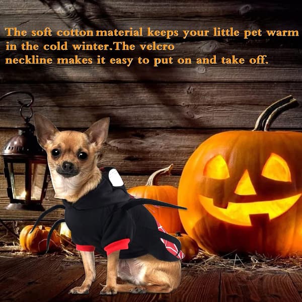 Halloween-kostym för husdjur, huvtröja, spindelkostym för husdjur
