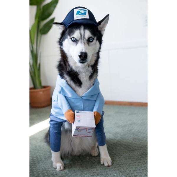USPS Dog Mail Carrier Costume, Funny Courier forvandlet til