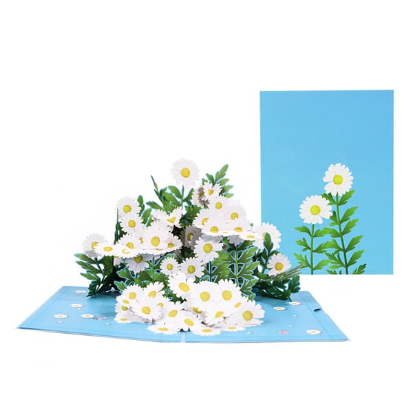 Pop-up kort med blomster \"Tusindfryd med sommerfugl\" 3D blomsterkort til