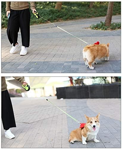 Orange utdragbart hundkoppel, 8m utdragbart hundkoppel