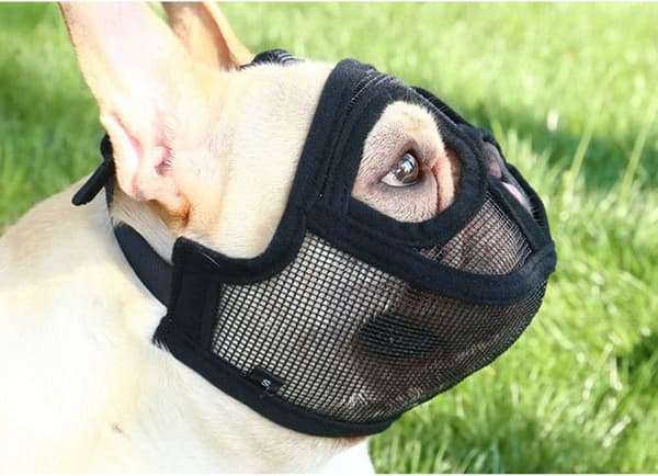 Hundmunstycke med platt nos, justerbart, andningsbart