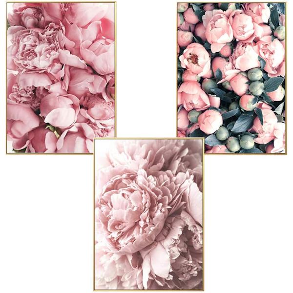 Affischset med 3 väggbilder 3 delar canvasbild blommor pion affischset väggkonst utan ram konst affisch för vardagsrum (stil D, 30 x 40 cm)