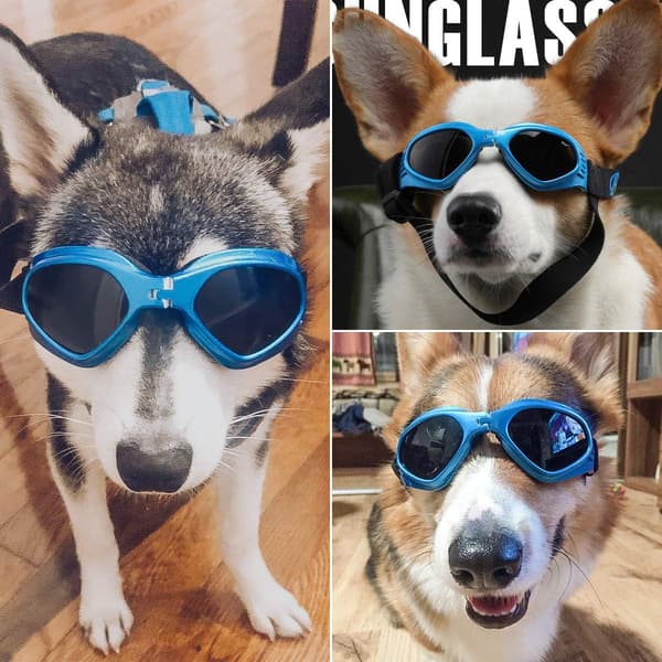 Hunde Solbriller - Justerbar UV Solbrille Stropp - Vanntett