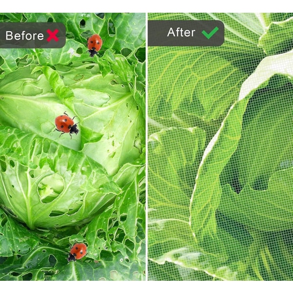 Insektnet Beskyttelse Fint Masket Have Netting Planter Frugt