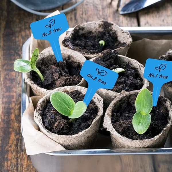 Blå, 10x6cm, 100 st Växtmärken Grönsaksfröplantmärken Plantering