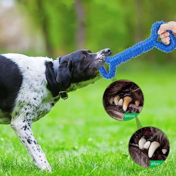 Stor Træk Ring Knogle Hund Kæledyr Legetøj Bidresistent Molar Stick med