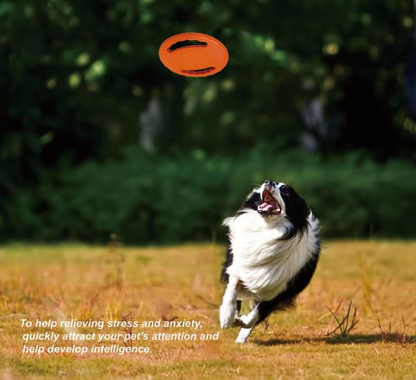 Holdbar gummi-frisbee til hunde