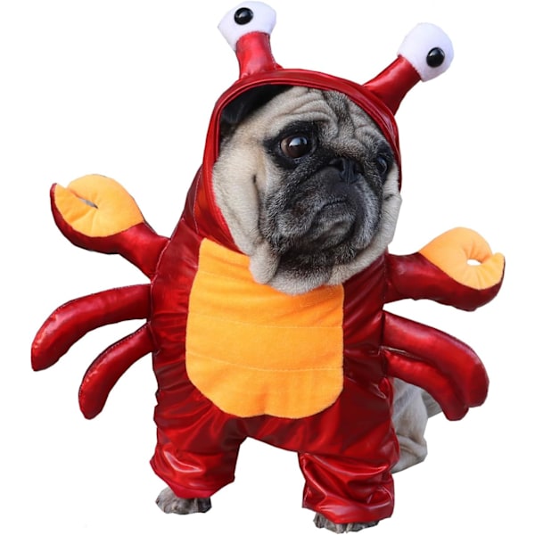 Halloween-koiran rapuasu Halloween-lemmikkikoirahuppari hauska bulldog-vaate kissanpuku Puupy-vaatteet pienille ja keskikokoisille koirille (S