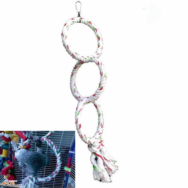Parrotgunga Ring för Fåglar Budgie Papegoja Bomullsrep Sittpinne Tugga