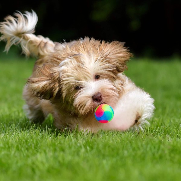 3 Styk Lysende Hundebolde LED Elastisk Bold Blinkende Molar Bold