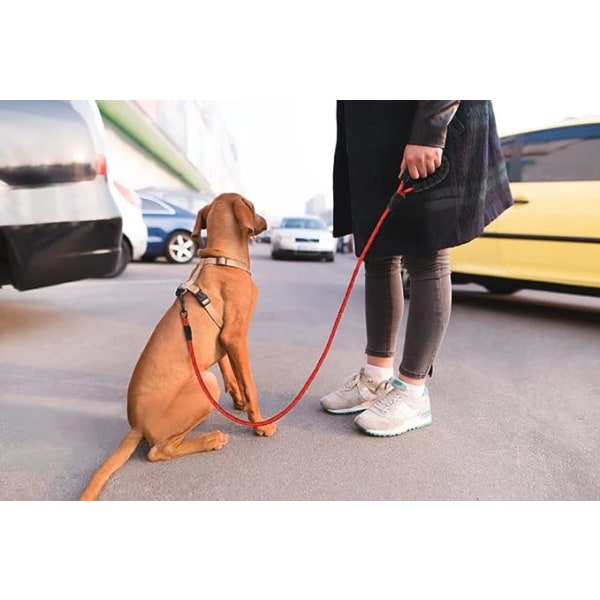 Reflective Rope Leash (Red) with Padded Handle, 1.2m Reflective