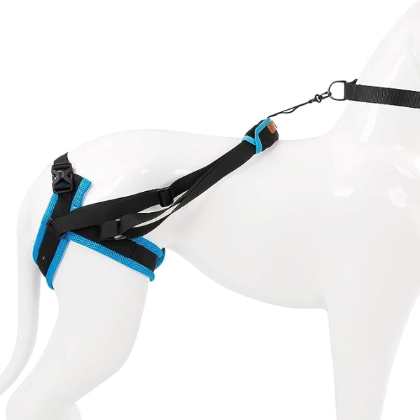Hundstödshjälp blå (bens omkrets 35-45 cm) - Ett stöd
