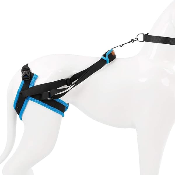 Lyftstöd för hundar, blå (bensomkrets 25-35 cm) - A