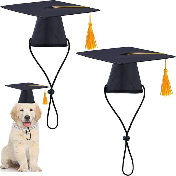 2 Pak PET Dr. Hat Doggy Graduation Sort Hat med