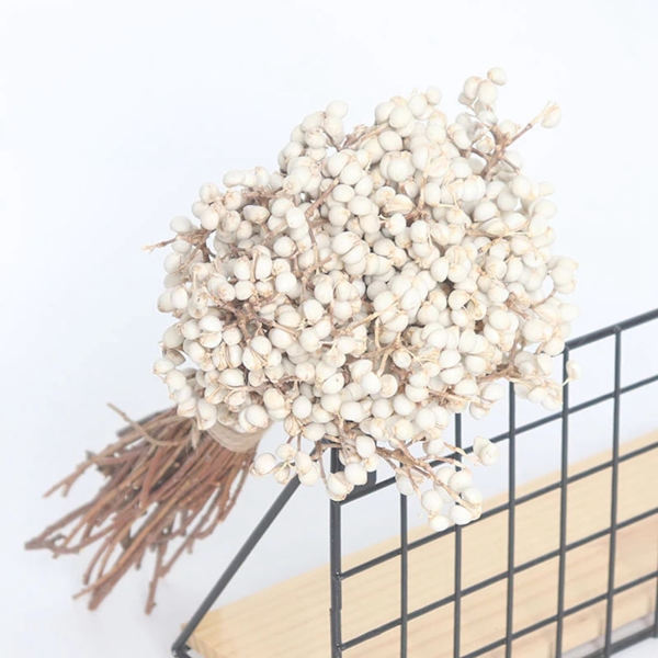 100G naturliga bomullsbollar, torkade blommor, torkat gräs, äkta vitt