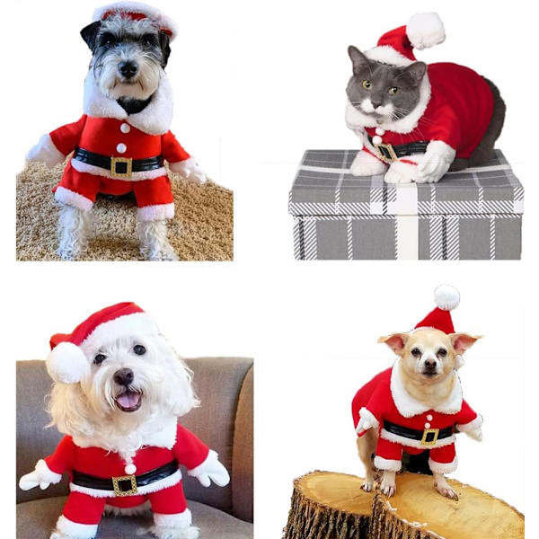Julekostume til kæledyr Hundekostume med kappe Julemandskostume