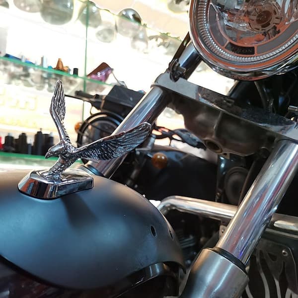 1 stk. Universal Motorsykkel 3D Front MudGuard Ørnehode Scooter gull