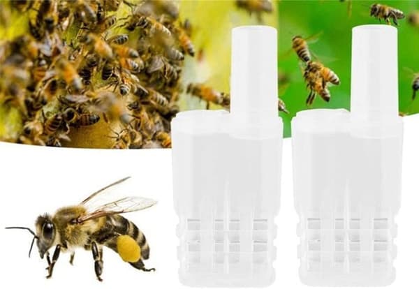 20 stk Hvite Dronningbiebur Bikubefangst Plastbie