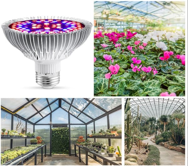 LED-vækstlys til planter, 50W fuldspektrum