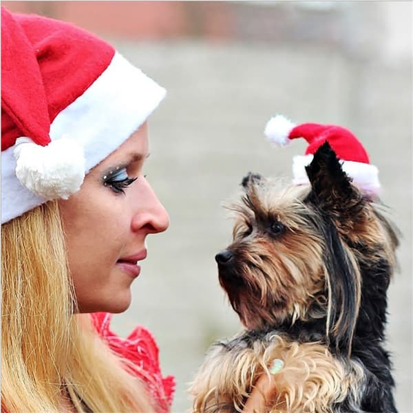 2 Julepynt til kæledyr Julehat Hund Lille Hat