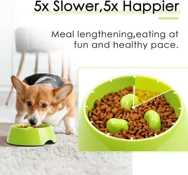 vert-Anti Gluttony Skål til Hund og Kat, Skridsikker Foder Skål Der