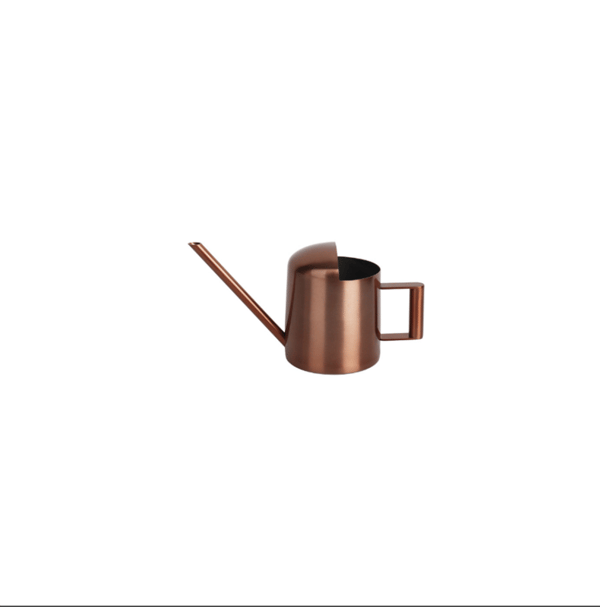 Vandkande i Rustfrit Stål 300ML Lang Tud Mini Metal