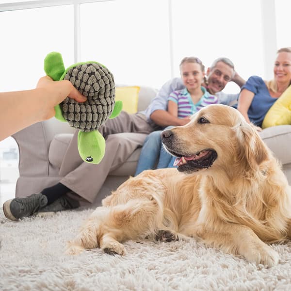Fyldt tyggelegetøj til hunde