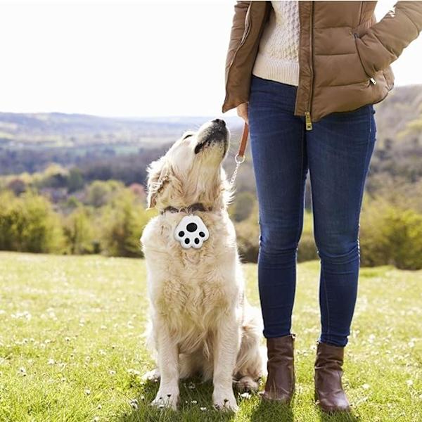 4 sorte og hvide mini Bluetooth kæledyrs-tracker - kat / hund GPS