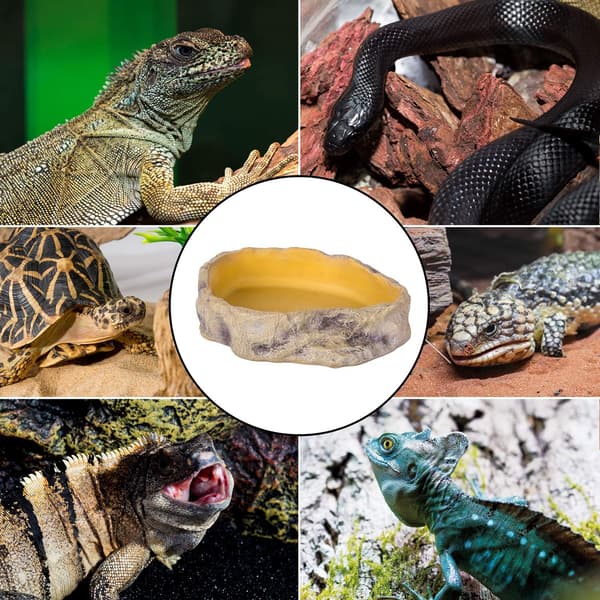 Krybdyrs Vandskål Terrarium Vandskål Foder Skål til Krybdyr