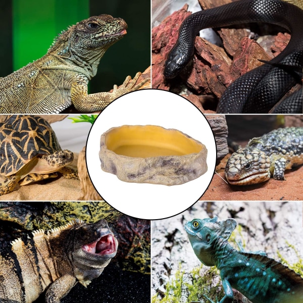 Reptil Vannfat Terrarium Vannfat Fôringsfat for Reptil