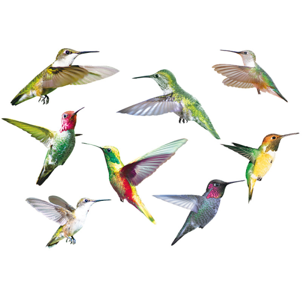 Set med 2 9 fåglar i stor storlek Hummingbird Window Hummingbird
