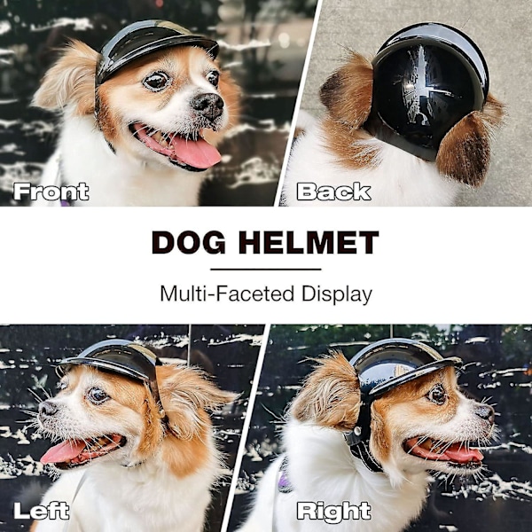 (S)Hjelm for hund, hodebeskyttelse, kjæledyrhjelm med ørehull, motorsykkelutstyr for fotturer, sykling, kjøring