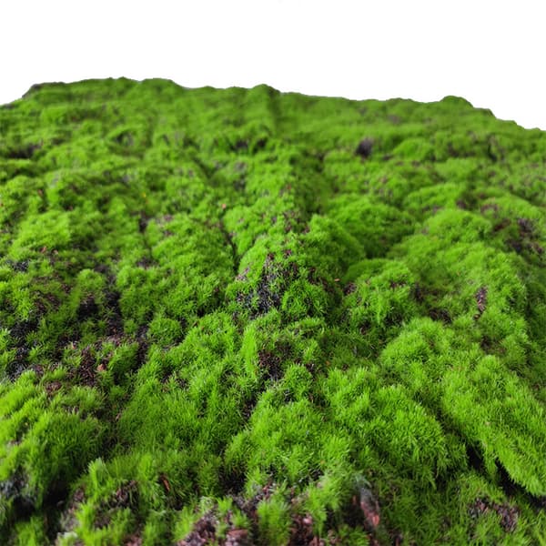 100cm * 100cm simulert mosegress, grønn mosebulende plante