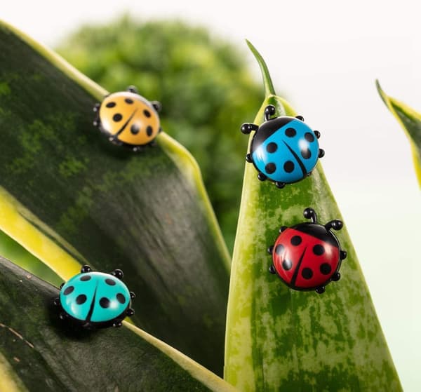 Ladybug kylskåpsdekaler, 6 st söta kylskåpsdekaler