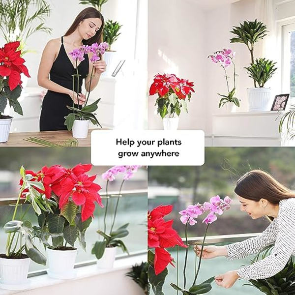 10 Växtstöd Kit | Stöd för Klätterväxter och Blommor | Grön Stödpåle | Hjälp Dina Blommor Växa | Trädgårdstomat
