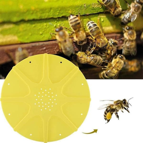 1 st Bee Hive Exit Disc ABS Plast 8 Vägar Rund AntiRunning