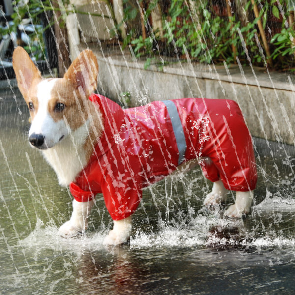 Pet Raincoat Vanntett Refleks Dobbeltlags Pustende