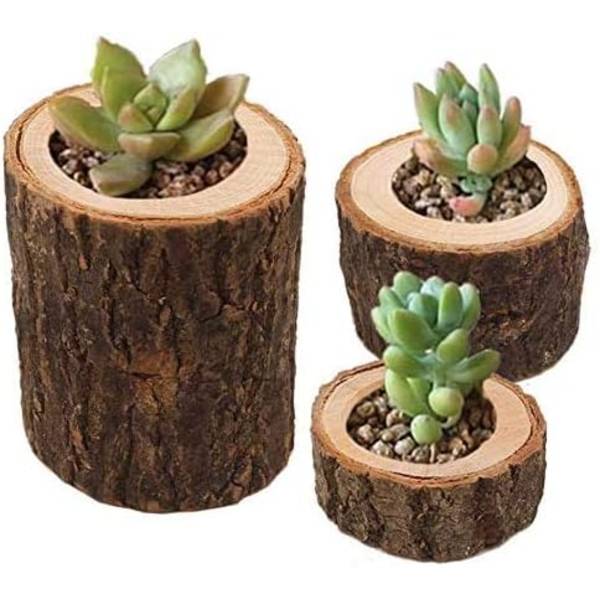 Tre Trähantverk Små Sukkulenter Växt Ornament Eldlös Trä