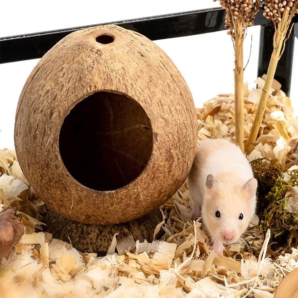 Naturlig kokosnøttskallhus, hamsterhus, for reptiler