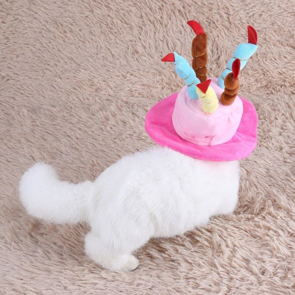 Pet fødselsdagsfest hat med farverige stearinlys til hund, kat og