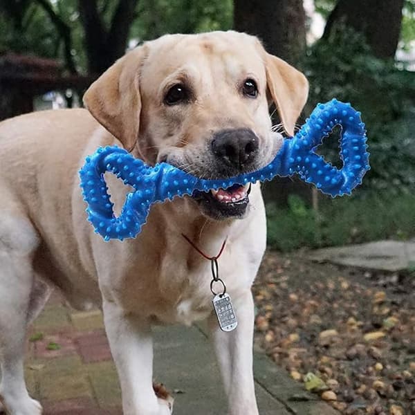 Stor Træk Ring Knogle Hund Kæledyr Legetøj Bidresistent Molar Stick med