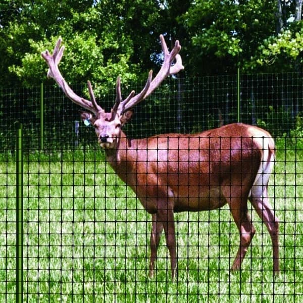 Robust og genanvendeligt fuglenet - 2 x 20 m - holdbart beskyttelsesnet - 2 cm net