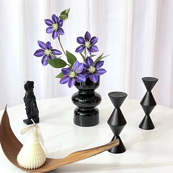 Svart glas hydroponisk vas