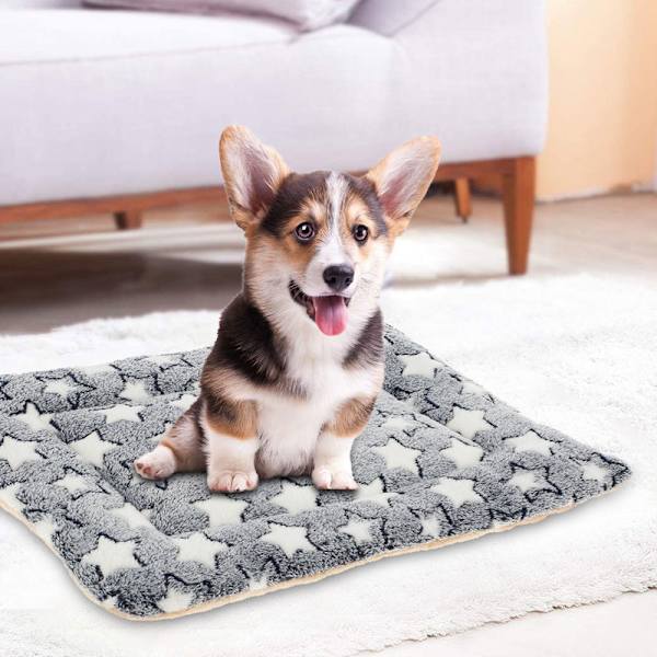 1 Vendbar Hundebed (Varmt og Koldt) 50x60cm, Stilfuld Høj