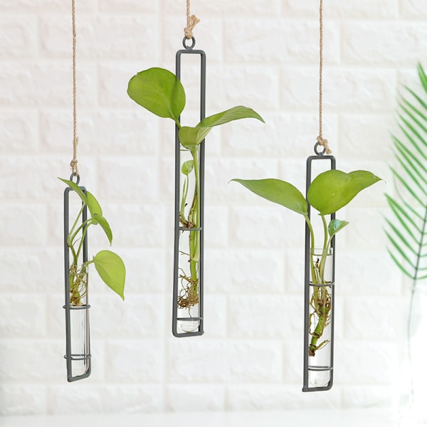 Kreativ Glasvas Hemp Snöre Vägg Hängande Hydroponisk Liv