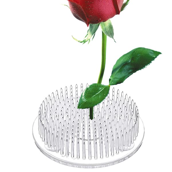 Klar plast Sword Mountain blomsteroppsats fast