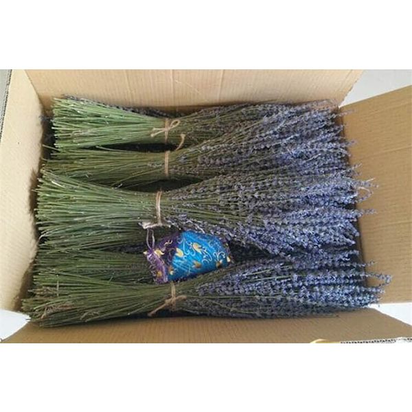 Kuivattu Laventeli Luonnon Laventelikimput 50+ Varsia (35cm
