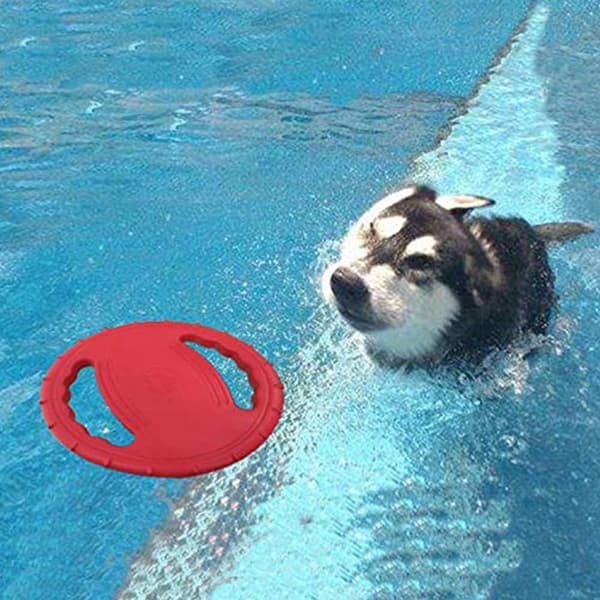 Gummifrisbee for store hunder rød